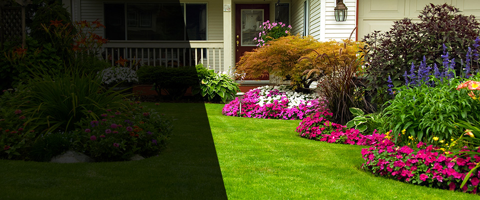 San Pedro Landscapers